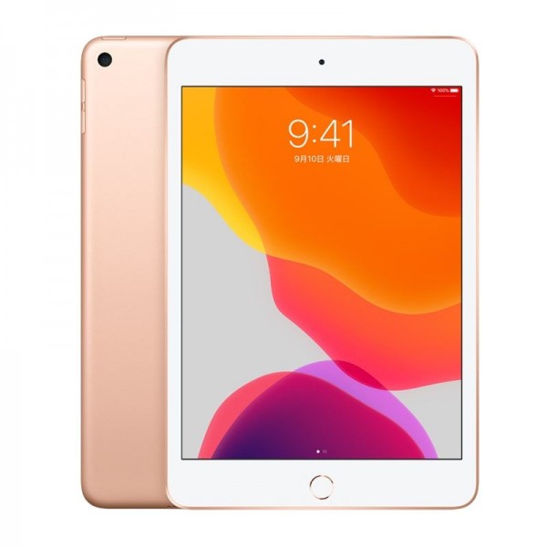 iPad Mini 5 256GB Wi-Fi Cũ